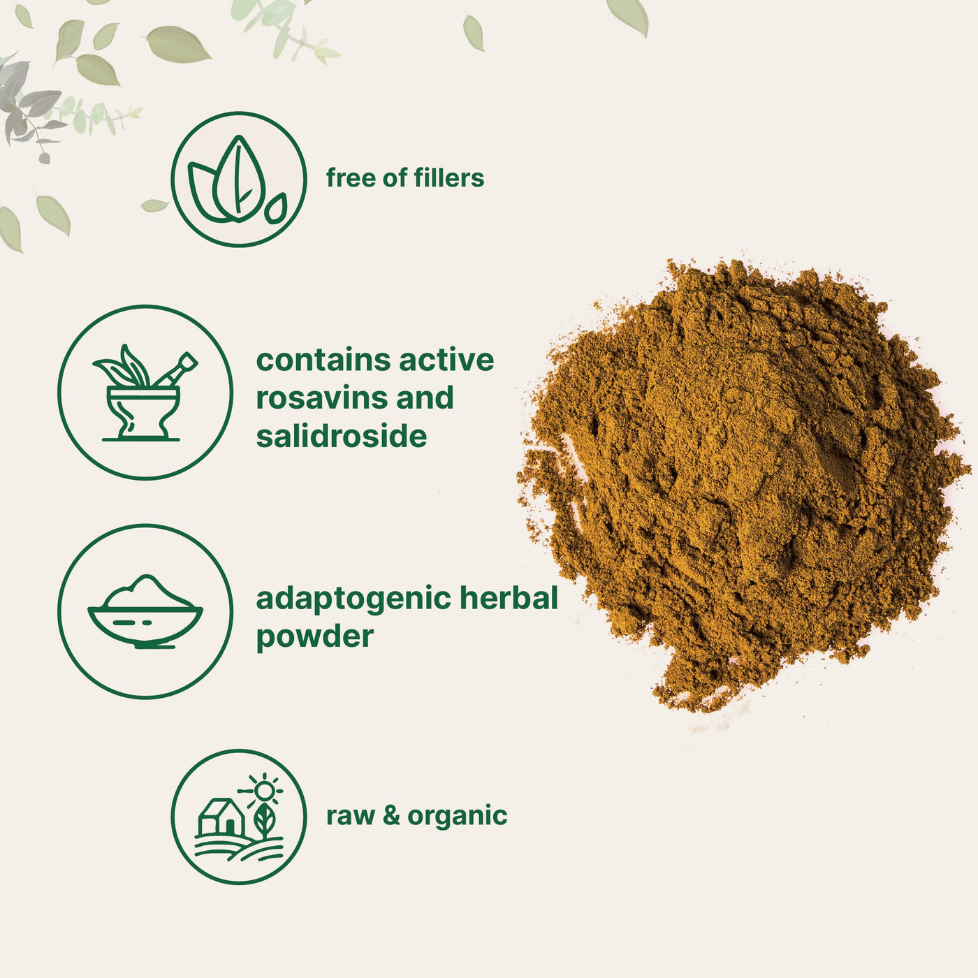 Micro Ingredients Organic Rhodiola Rosea Powder