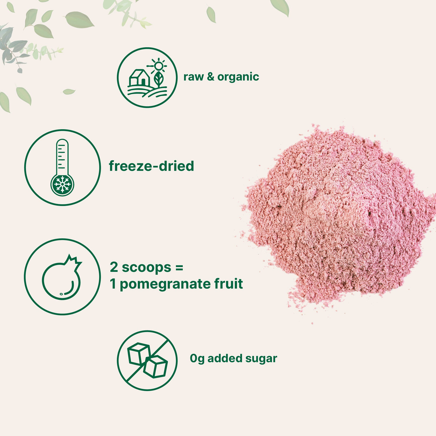Micro Ingredients Organic Pomegranate Juice Powder