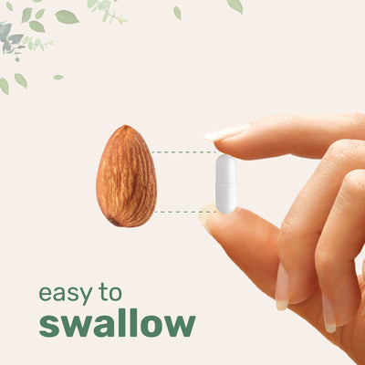 Micro Ingredients Pantothenic Acid Vitamin B5 Capsules