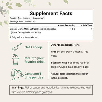 Micro Ingredients Organic Lions Mane Mushroom Supplement Powder