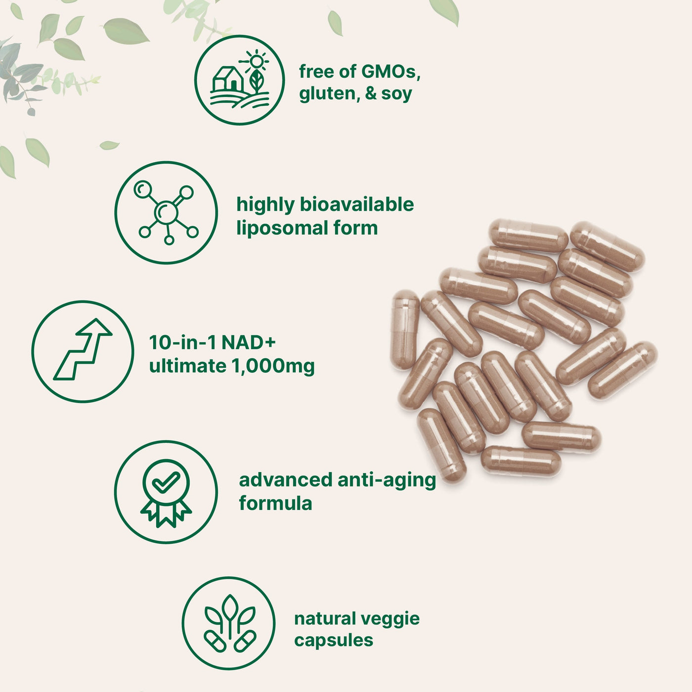 Micro Ingredients Liposomal NAD+ Ultimate 1,000mg, 60 Veggie Capsules