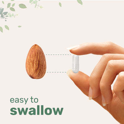 Micro Ingredients Pure Magnesium Citrate Supplements 500mg Per Serving, 300 Capsules