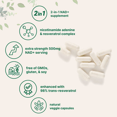 Micro Ingredients NAD+ Supplement 500mg with Resveratrol, 240 Veggie Capsules